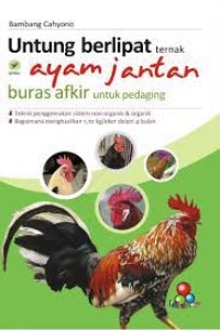 Image of Untung Berlipat ternak Ayam Jantan Buras Afkir Untuk Pedaging
