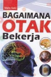 Image of Bagaimana Otak Bekerja