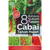 Image of 8 Rahasia Sukses Tanam Cabai Tahan Hujan