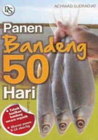 Image of Panen Bandeng 50 Hari