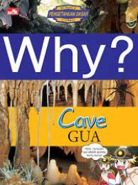 Image of Why ? Cave