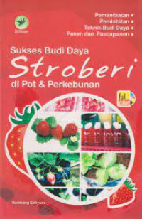 Image of Sukses Budidaya Stroberi di Pot & Perkebunan
